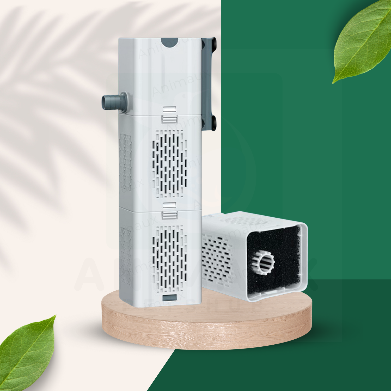 XQP2165131651 (1500 x 1500 px)