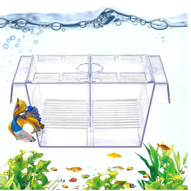 Aquarium Fish Breeding Box – Hatchery, Incubator, and Isolation Tank for Baby Shrimp and Guppy