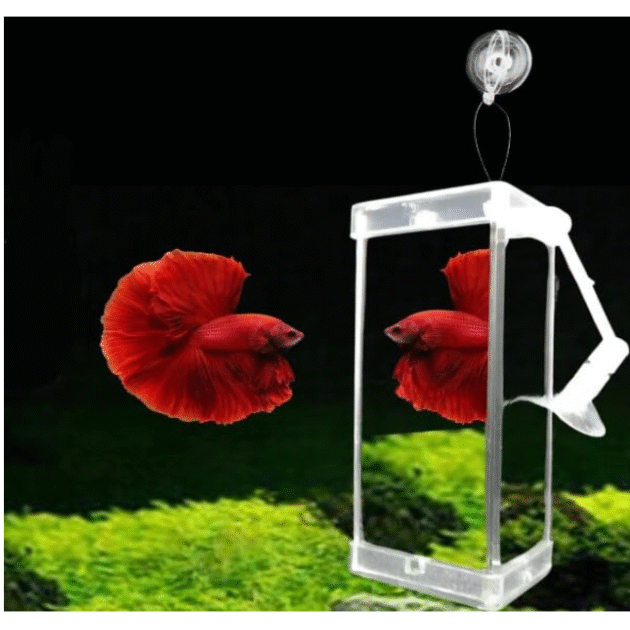 Animaux Rumble Fish Grooming Mirror for Aquarium Fish Training Mirror (10.5 cm H × 5.6 cm L)| Floating Ball & Suction Cup, Interactive Exercise Toy for Fish & Stress Relief