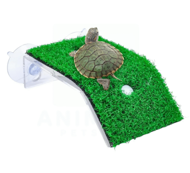 (CP-80) Comfortable Turtle Climbing Ladder | Turtle BASKING Platform | Turtle RAMP | Safe and Sturdy Turtle Dock | Ultimate Turtle BASKING Station | Artificial LAWNS with Suction Cup