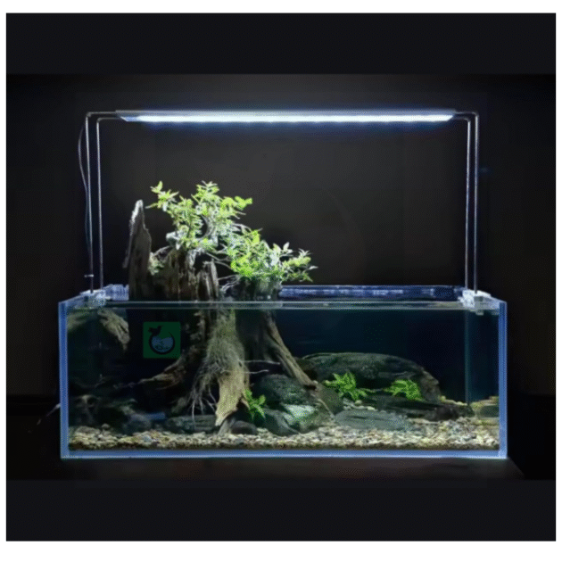ANIMAUX NEO Helios XP-600 (Single Color White) Aquarium Flat 32W LED Light PROVIDED Bright Light for Good Plant Growth. Adjustable Brackets. Ultra Slim Design. Flat Light Technology