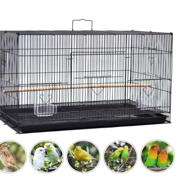 (2 FEET - 24 INCH) Black Colour Best  Birds Cage for Budgies, Finches, Love Birds, Cocktails, Conures & All Small Birds