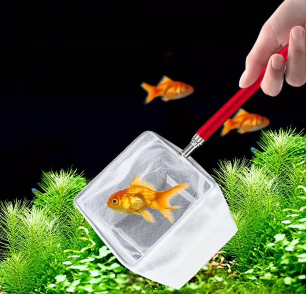 Extendable Round Fish and Shrimp Catching Net with Stainless Steel Handle (Color May Vary)