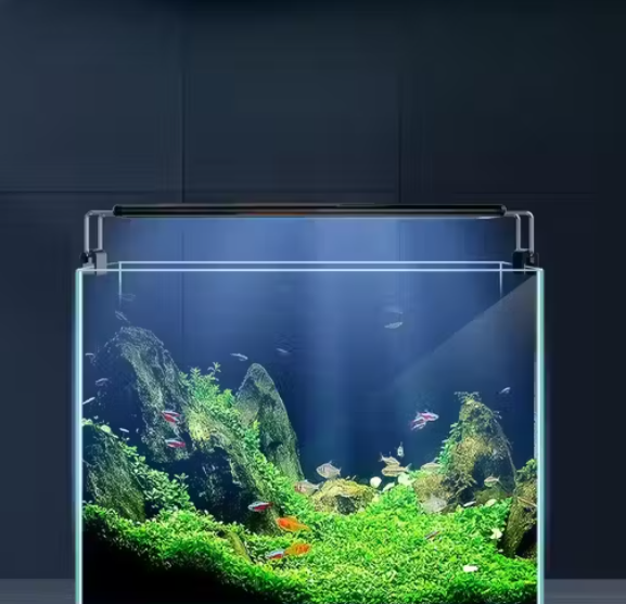 LY-60S (60 to 75 cm)  Best Aquarium LED Light (Blue+White), Single Color Mode LED Light Ultra Slim Black Light for Fresh & Salt Water Tank | Water Proof with Extendable Bracket