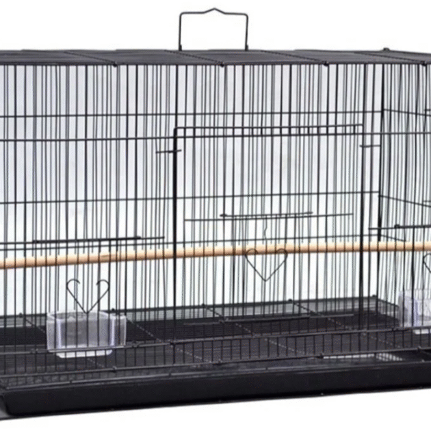 1.5 Feet (18 Inch )Black Best Birds Cage For Budgies, Finches, Love Birds, Cocktails, Conures & All Small Birds