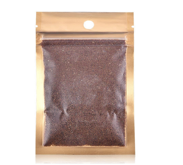 Animaux Planted Aquarium Carpet Plant seed